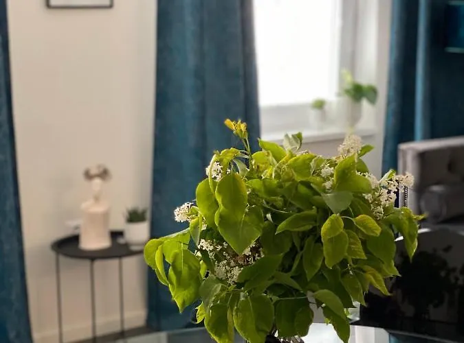 Apartmán Mia